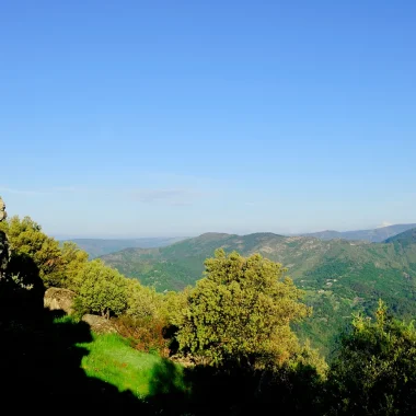 Randonneur observant le paysage au printemps