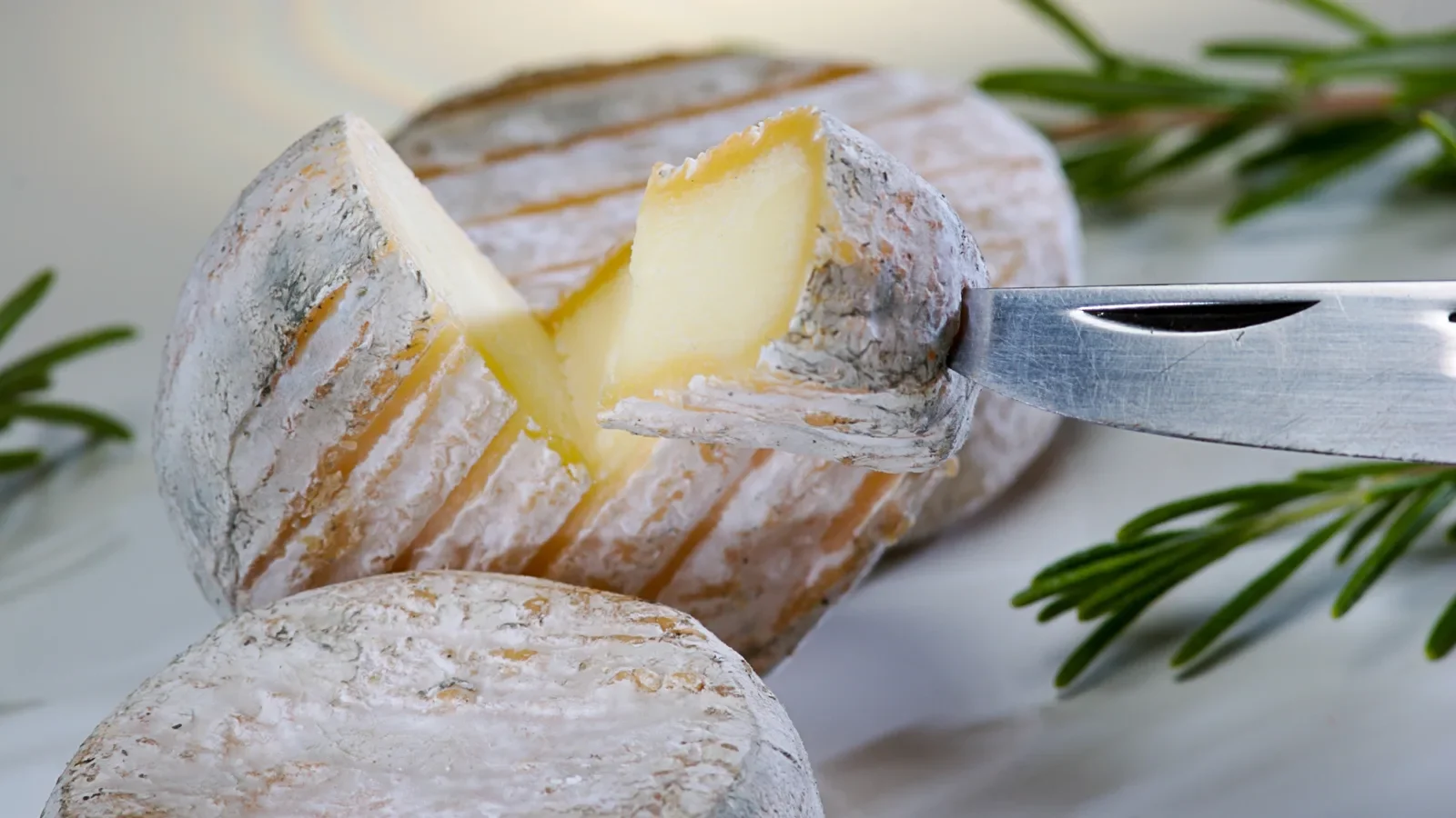 Fromage de chèvre Picodon