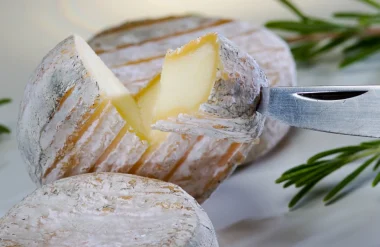 Fromage de chèvre Picodon