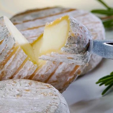 Fromage de chèvre Picodon