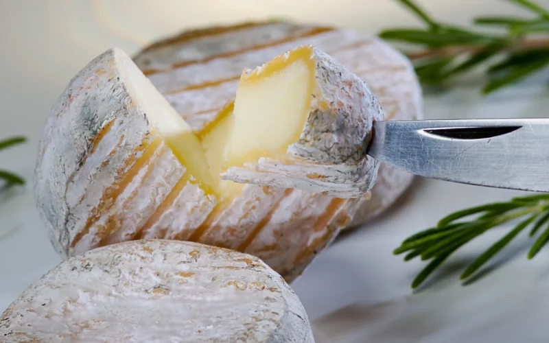 Fromage de chèvre Picodon